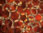 Host-guest Interaction Crosslinking Bioinks Customization Services