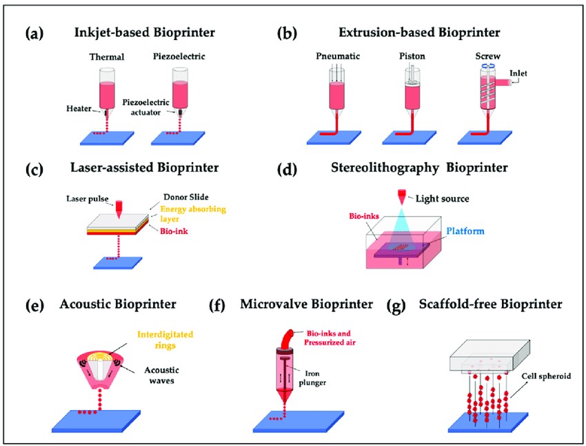 Figure 1. Different types of 3D bioprinters.