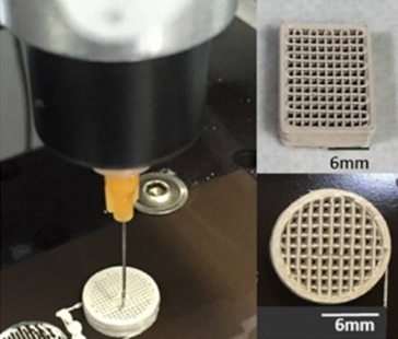 Cuboid and cylindrical Si3N4 scaffolds obtained by 3D printing with 16 layers.