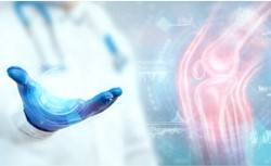 Bone Repair Study Based on 3Dmicroflu™