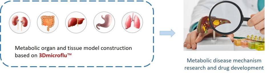 3Dmicroflu in the construction of metabolic disease models - CD BioSciences.