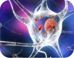 Parkinson's Disease Micro-model