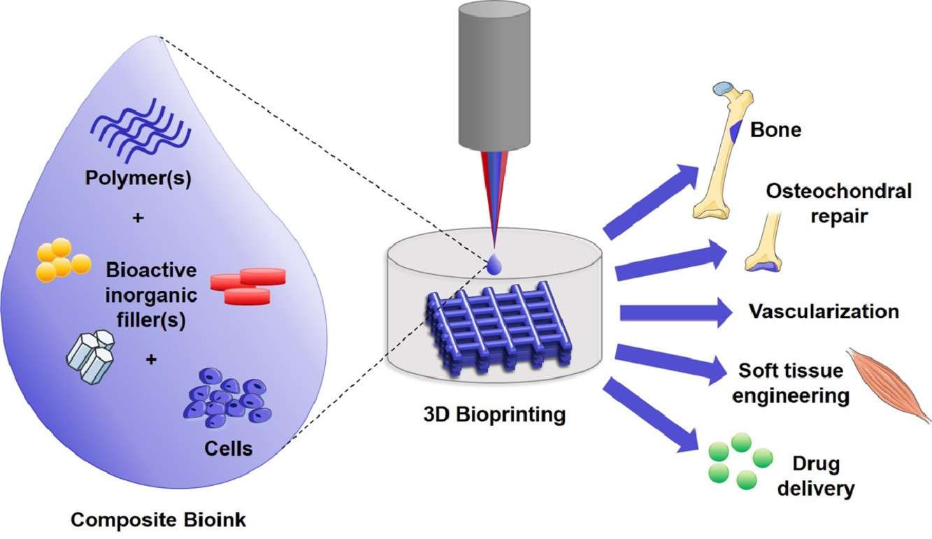 Advancing bioinks for 3D bioprinting using reactive fillers.