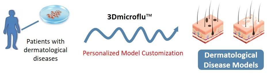 3Dmicroflu technology platform in the process of dermatology model construction. - CD BioSciences.