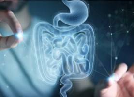 Drug Toxicology Testing Micro-model 3D Printing Service