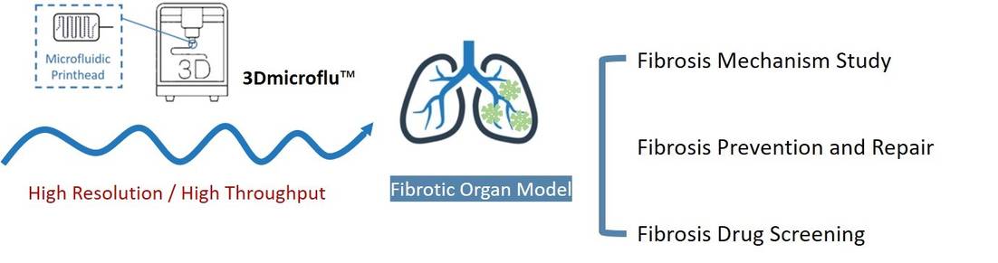 Applications of 3Dmicroflu in the construction of fibrotic disease models - CD BioSciences.
