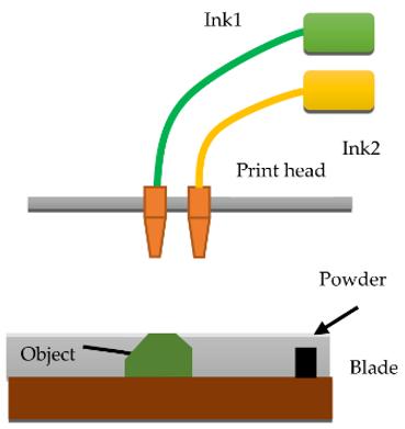 Schematic diagram of 3DP.