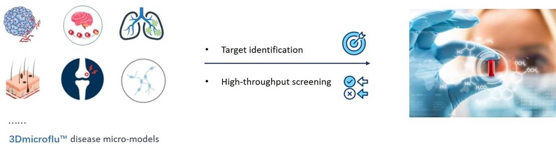 3Dmicroflu™ technology platform is involved in the construction of immune organs for the rapid screening process of small molecule drugs. - CD BioSciences.