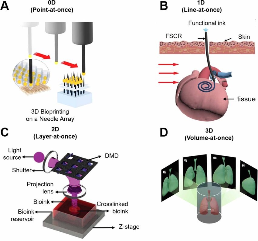 Figure 1. Schematic of 3DP classification in terms of dimensions.