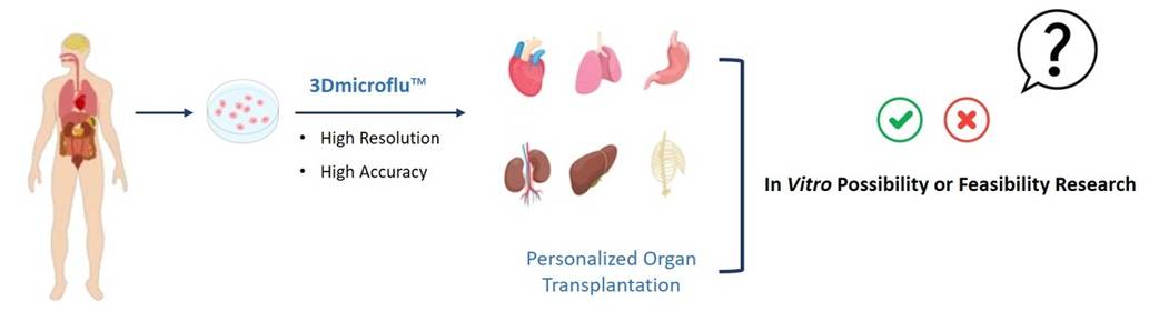 he possibility and feasibility study of organ transplantation can be realized in vitro through 3Dmicroflu™ technology platform