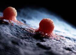 Disease Mechanism Research Based on 3Dmicroflu™