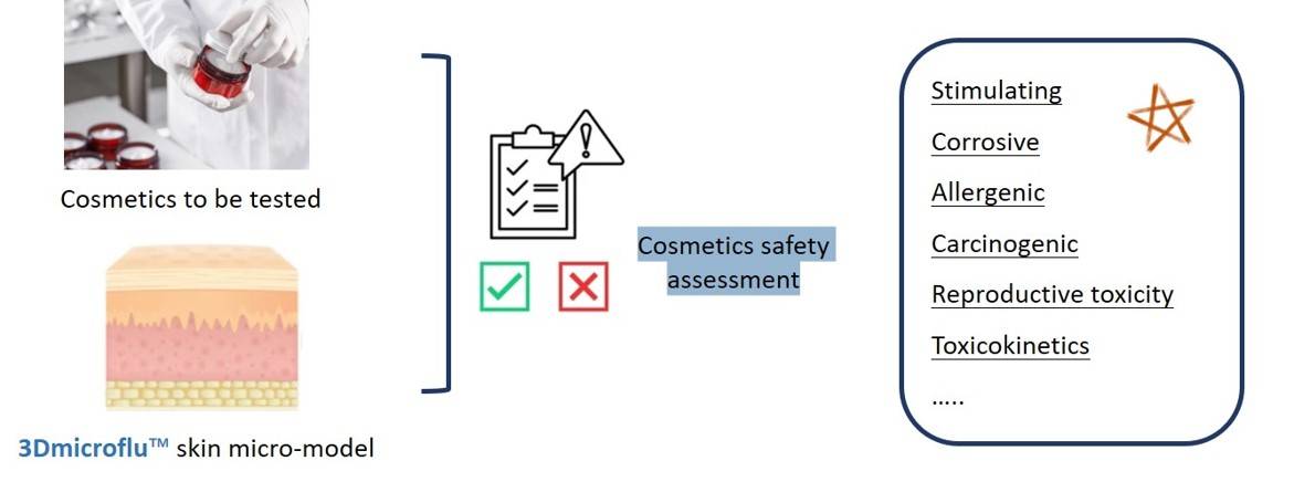 The general process of 3Dmicroflu™ technology platform in applying to cosmetics safety testing - CD BioSciences.