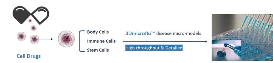 3Dmicroflu™ technology platform is involved in the construction of disease models for the rapid screening process of cellular drugs - CD BioSciences.