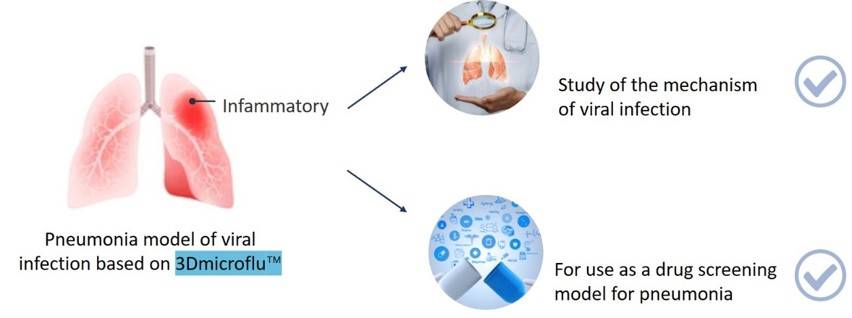 Pneumonia micro-models constructed by 3Dmicroflu technology platform and applications - CD BioSciences.