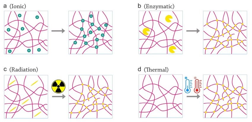 Various bioink cross-linking strategies that could be used in bioprinting through portable hand-held bioprinters.