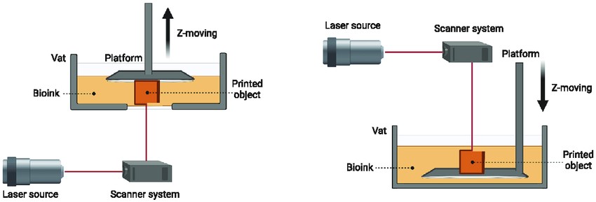 Figure 1. Schematic diagram of SLA-based bioprinting.