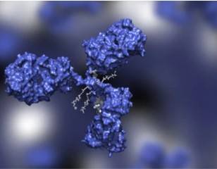 High Throughput Screening of Drugs Based on 3Dmicroflu™