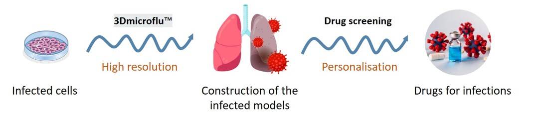 Applications of the 3Dmicroflu technology platform in the construction of infection models in infectious disease research - CD BioSciences.