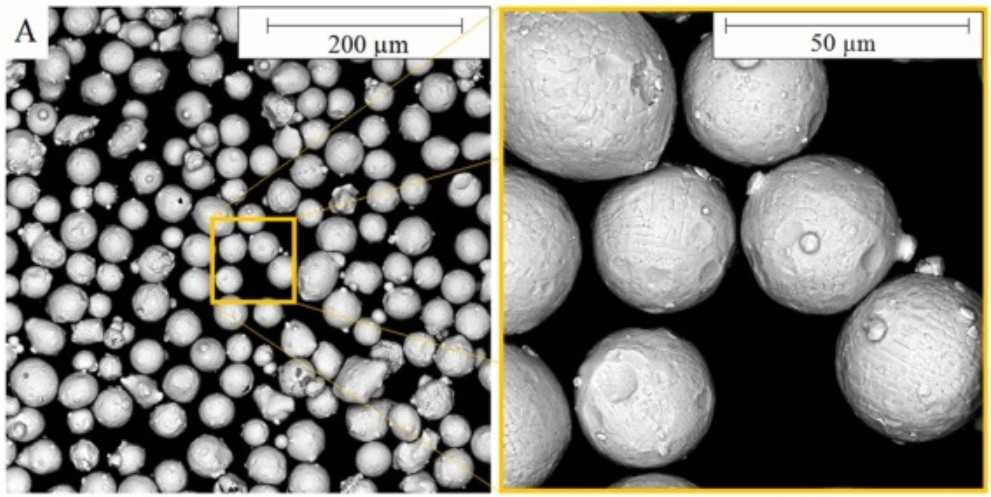 SEM image of primary 316 L stainless steel powder. (Olšovská E, et al.; 2024)