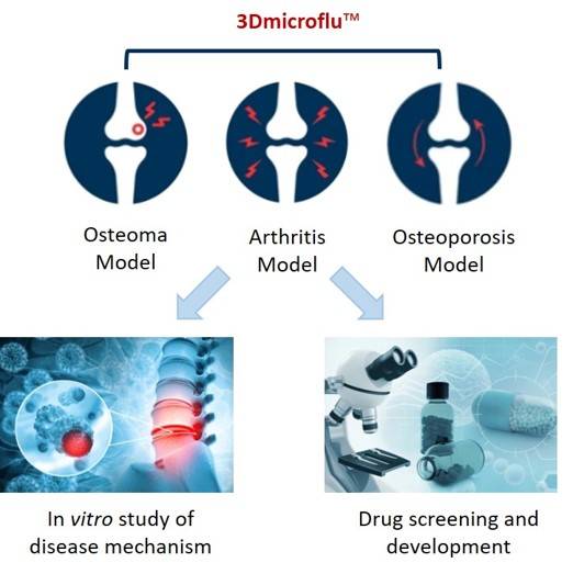 3Dmicroflu in the construction process of osteoarticular disease models - CD BioSciences.