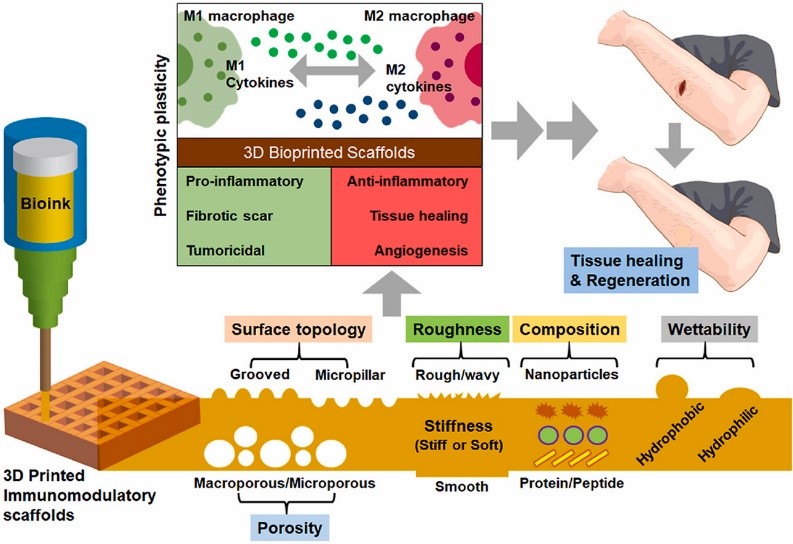Figure 1. 3D bioprinting technology for cardiac repair and regeneration.