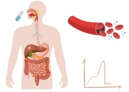 Pharmacokinetic Mechanism Study Based on 3Dmicroflu