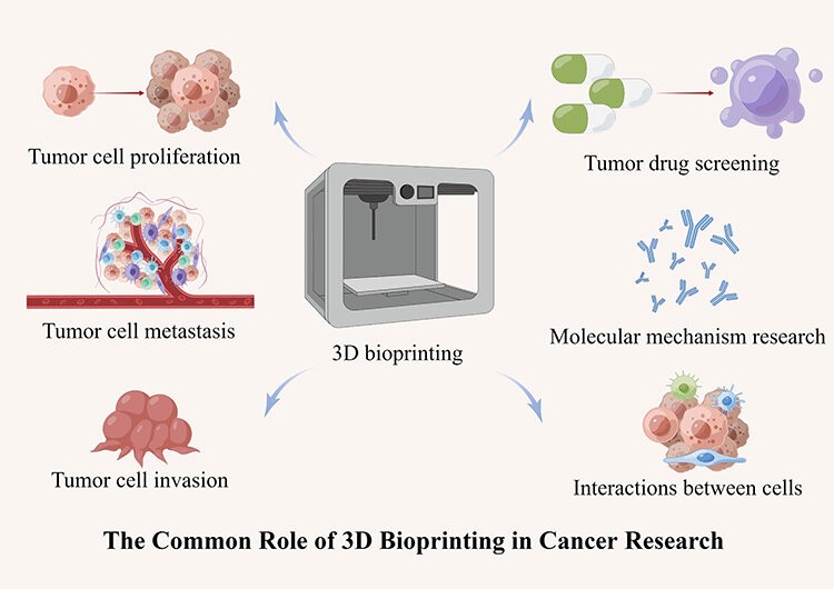 Figure 1. Common applications of 3D bioprinting technology in cancer research.