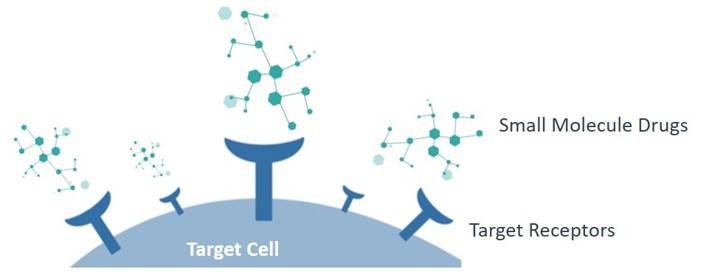 Schematic representation of the action of the small molecule targeted drug at the target cell - CD BioSciences.