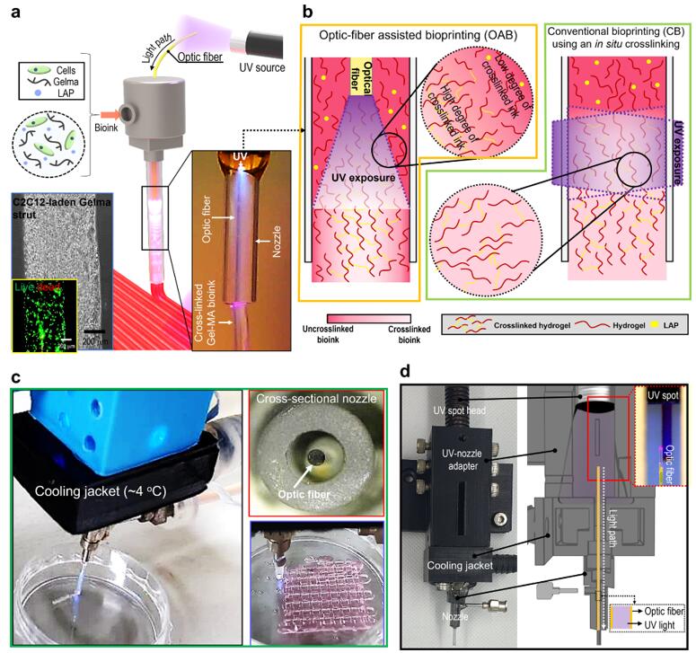 Schematics of an optic-assisted bioprinting process.