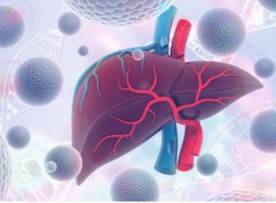 Drug Toxicology Testing Micro-model 3D Printing Service