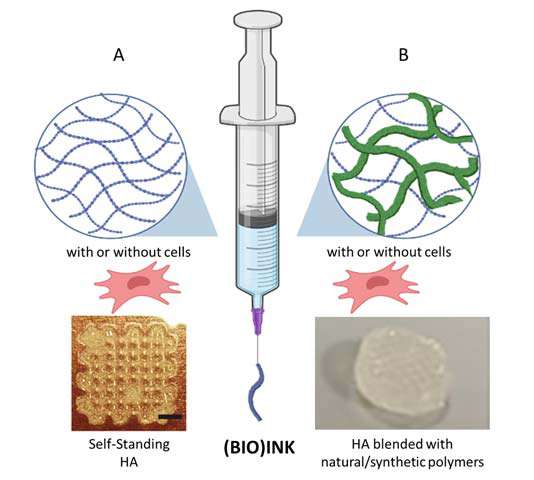 Schematic representation of hyaluronic acid (HA)-based (bio)ink.