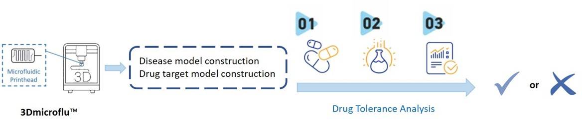 The process of 3Dmicroflu™ technology platform involved in drug tolerance analysis - CD BioSciences.
