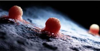 Solid Tumour Micro-model 3D Printing Service