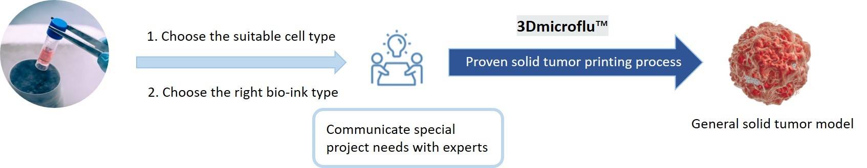 Rapid construction process for universal solid tumour models based on 3Dmicroflu- CD BioSciences.