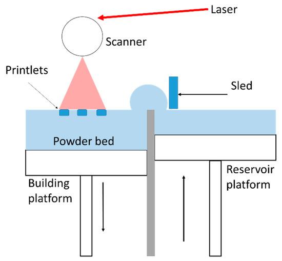 Schema of the SLS printer.