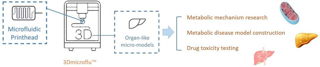 3Dmicroflu technology platform for metabolic mechanism research – CD BioSciences.