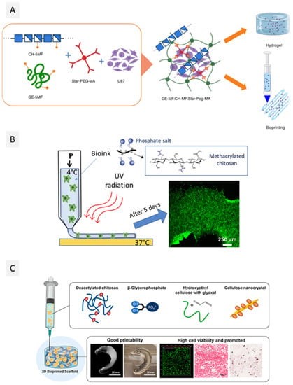 Different approaches for the development of chitosan-based bioinks.