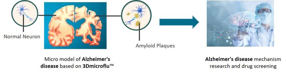 3Dmicroflu technology platform involved in the construction process of Alzheimer's disease micro-models - CD BioSciences.