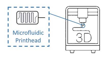 3Dmicroflu™ technology platform can provide you with high-resolution 3D bioprinting <em>in vitro</em> micro-model construction services