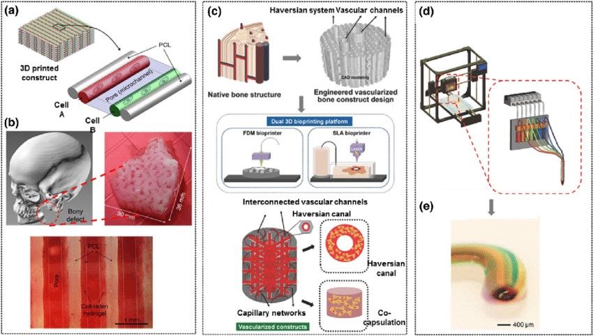 Figure 1. Schematic drawings of some advanced 3D printing techniques for biofabrication.