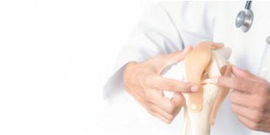 Cartilage Micro-model 3D Printing Service