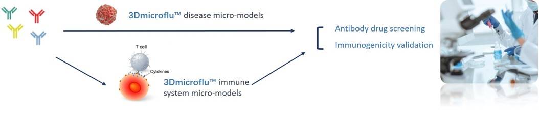 3Dmicroflu™ technology platform is involved in the construction of disease models and immune system models for the rapid screening process of antibody drugs - CD BioSciences.