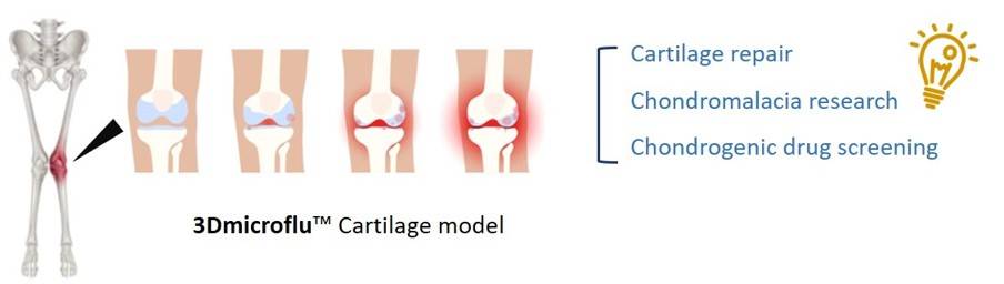 Chondrogenic micro-models constructed by 3Dmicroflu technology platform and applications - CD BioSciences.