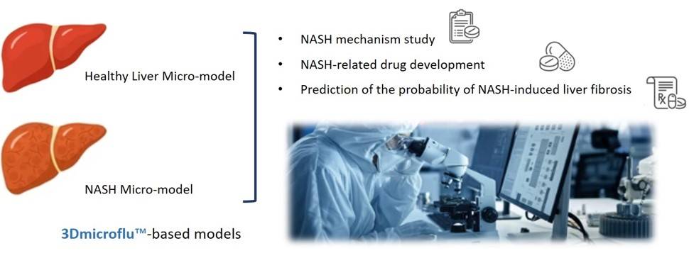 The general process of 3Dmicroflu™ technology platform in applying to NASH model construction - CD BioSciences.