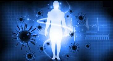 Immune System Disease Mechanism Research Based on 3Dmicroflu