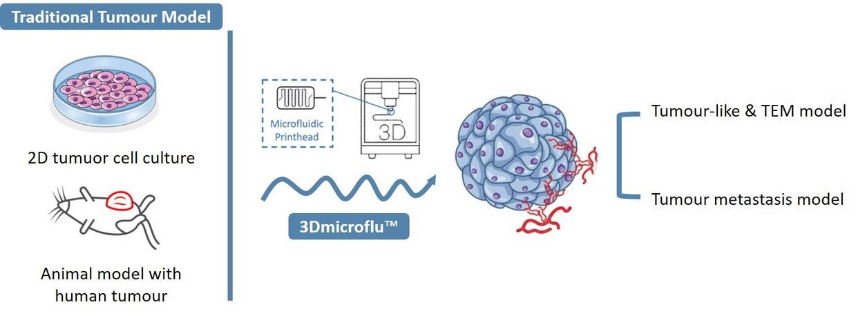 3Dmicroflu for in vitro tumour modelling - CD BioSciences.