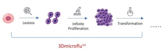 Construction of 3D tissue models of lesion cell formation based on 3Dmicroflu - CD BioSciences
