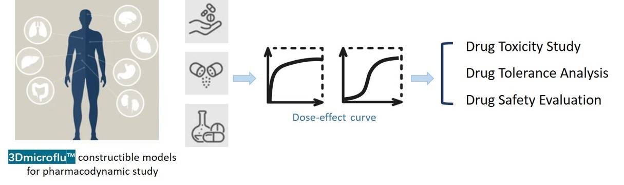 3Dmicroflu technology platform is involved in the construction of micro-organ models for pharmacodynamic studies - CD BioSciences.