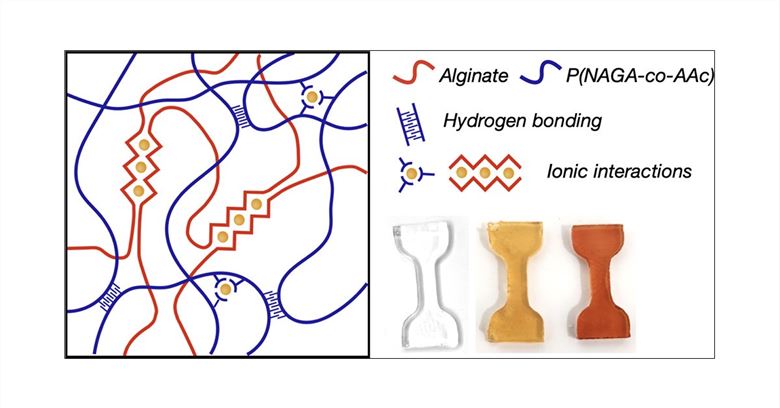 Hybrid Hydrogels with Orthogonal Transient Cross-linking.