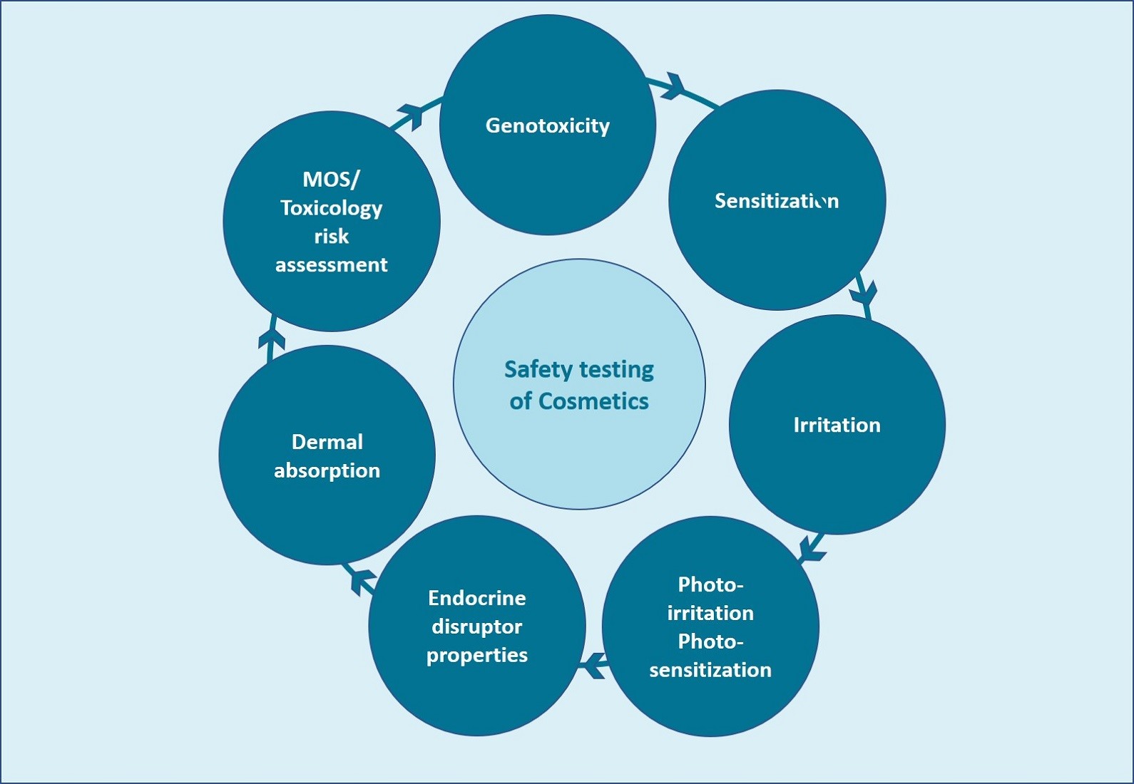 Figure 1. Cosmetic safety testing parameters.